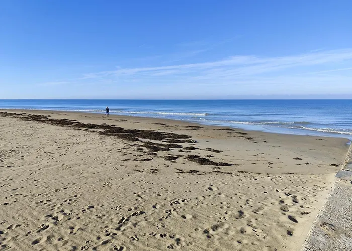 ベッド・アンド・ブレックファスト Le Goeland Créances